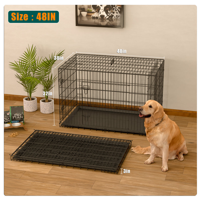 Tucker Murphy Pet™ Collapsible Portable Folding Steel Wire Dog Crate